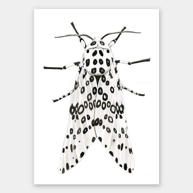 Gaston Unframed Art Print