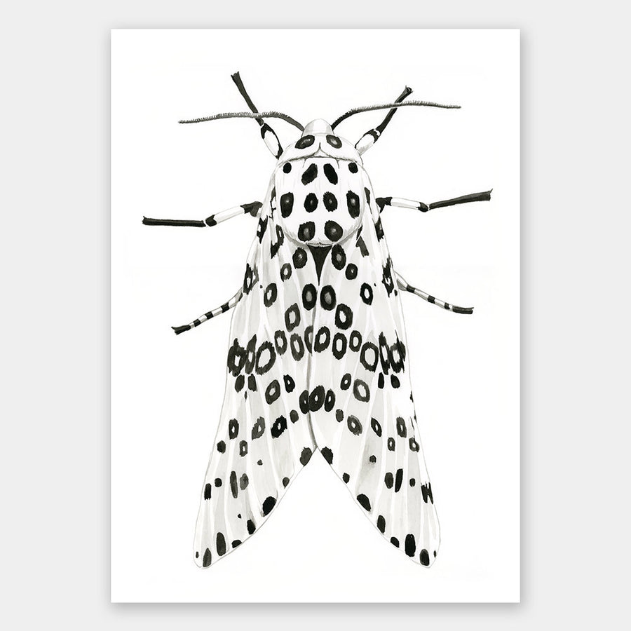 Gaston Unframed Art Print