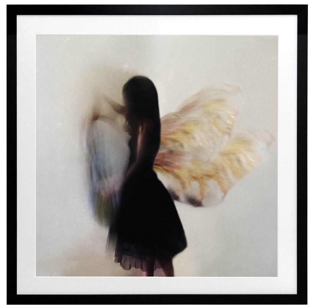 Ready to Fly Framed Art Print