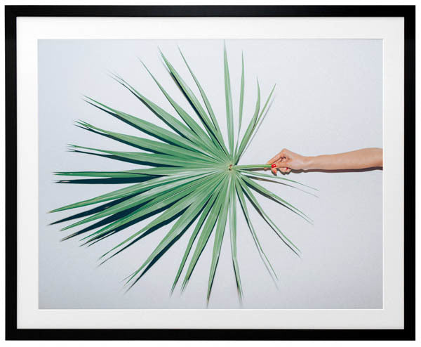 Out on a Limb Framed Art Print