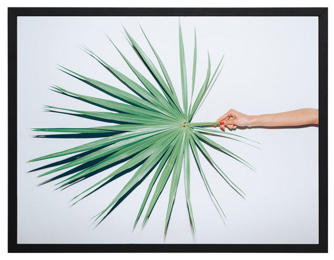 Out on a Limb Framed Art Print