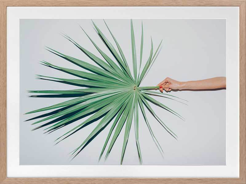 Out on a Limb Framed Art Print