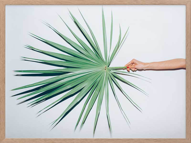 Out on a Limb Framed Art Print