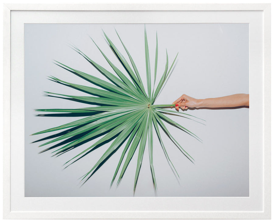 Out on a Limb Framed Art Print