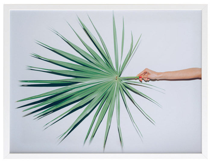 Out on a Limb Framed Art Print