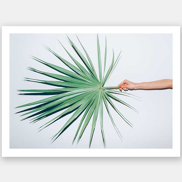 Out on a Limb Unframed Art Print