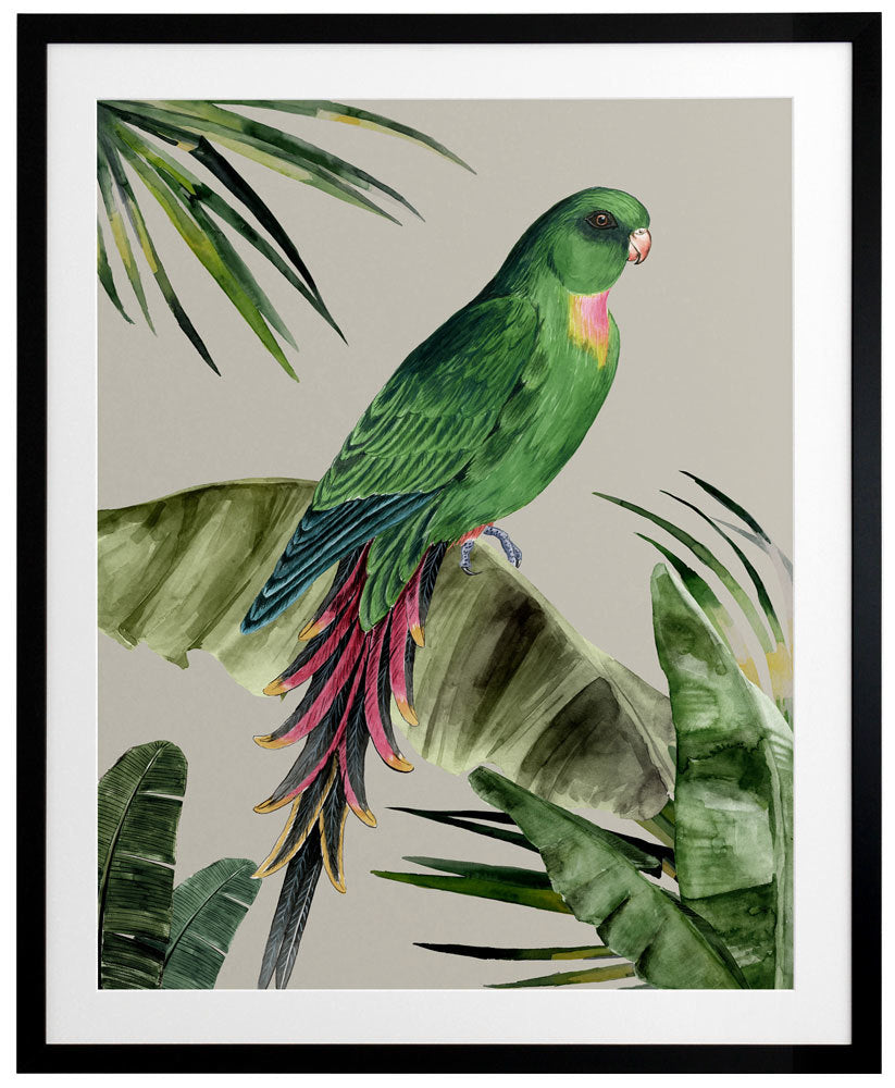 Plume Framed Art Print