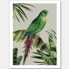 Plume Unframed Art Print