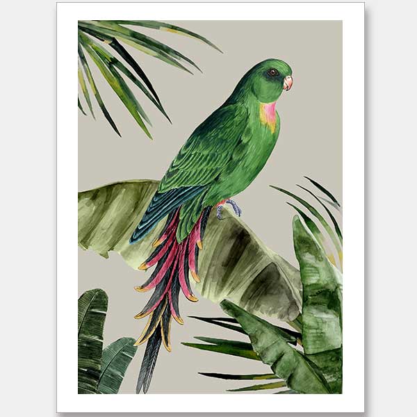 Plume Unframed Art Print