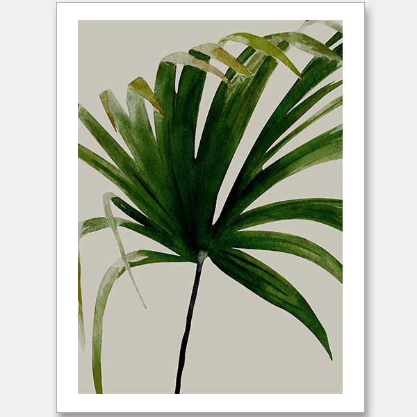 Solo Unframed Art Print