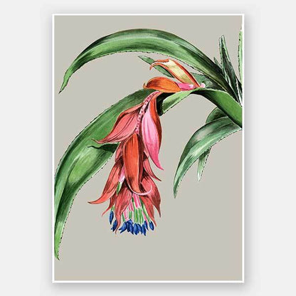 Crimson Bloom Unframed Art Print