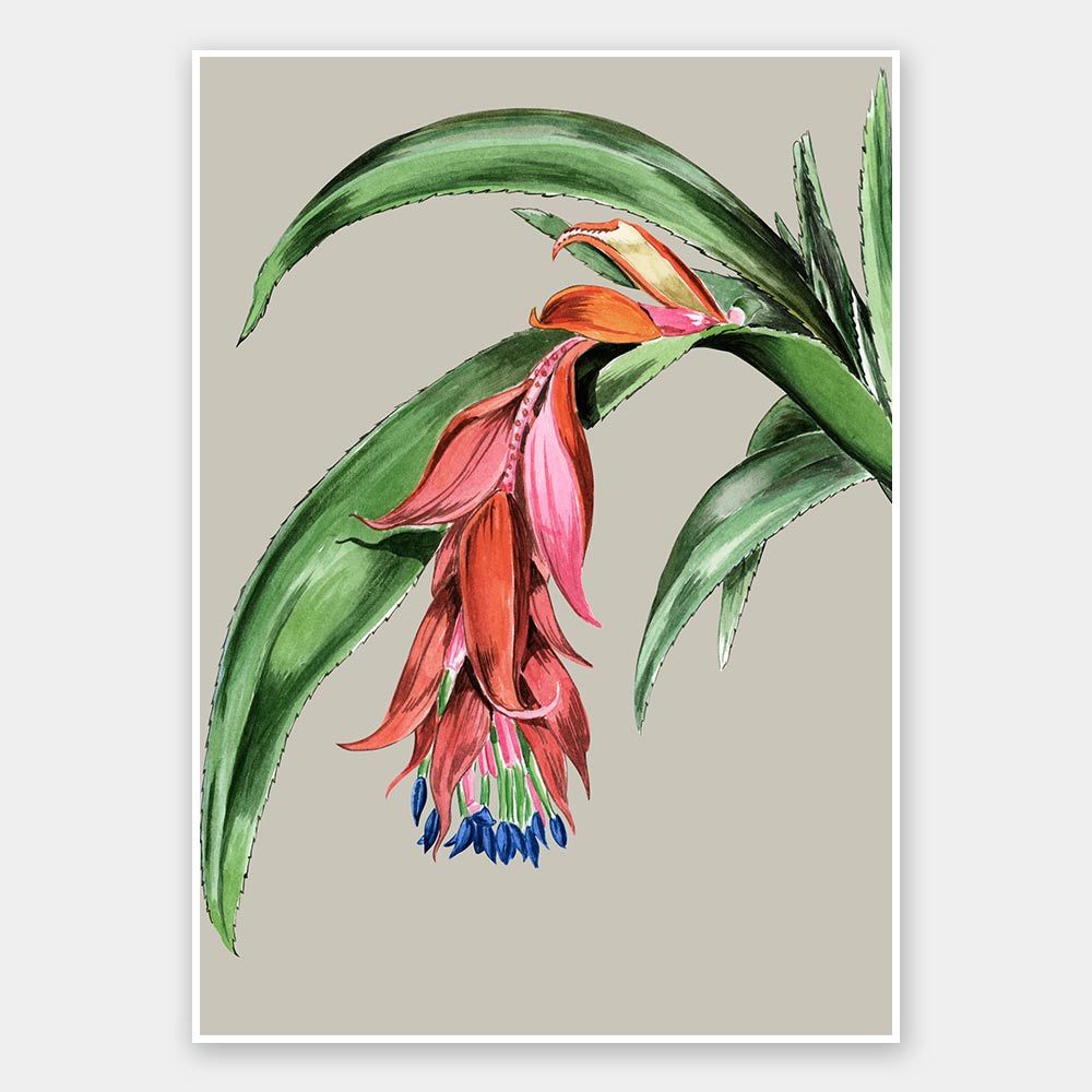 Crimson Bloom Unframed Art Print