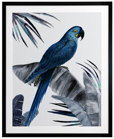 Plume Dusk Framed Art Print