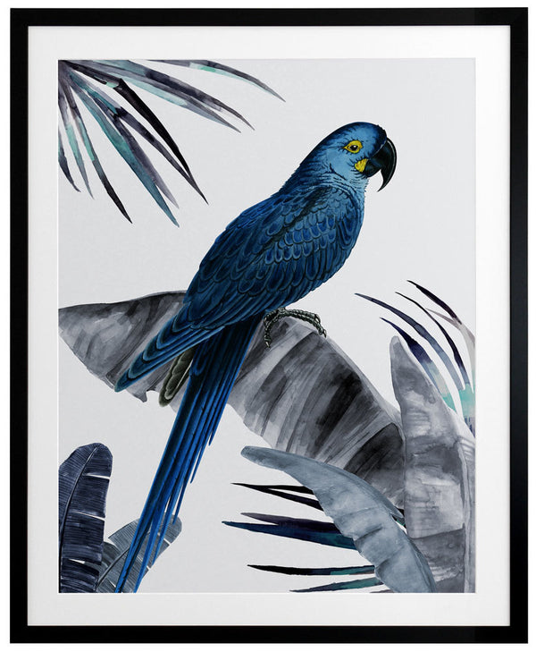 Plume Dusk Framed Art Print