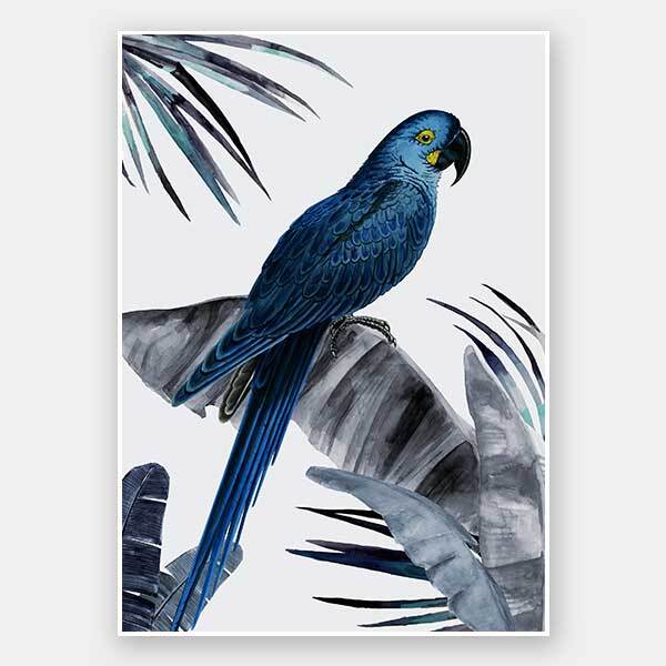 Plume Dusk Unframed Art Print