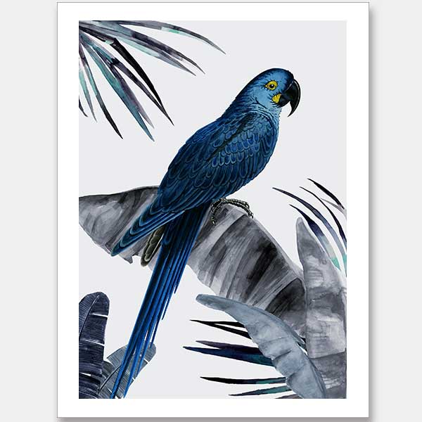 Plume Dusk Unframed Art Print