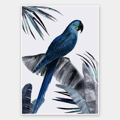 Plume Dusk Unframed Art Print