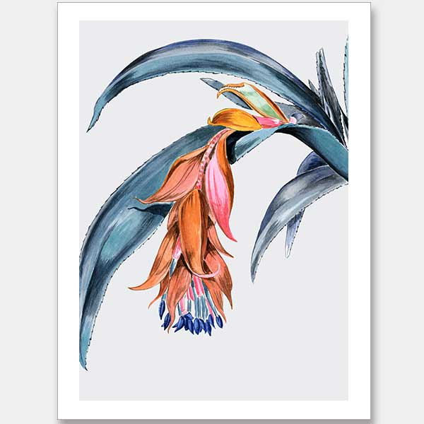 Crimson Bloom Dusk Unframed Art Print