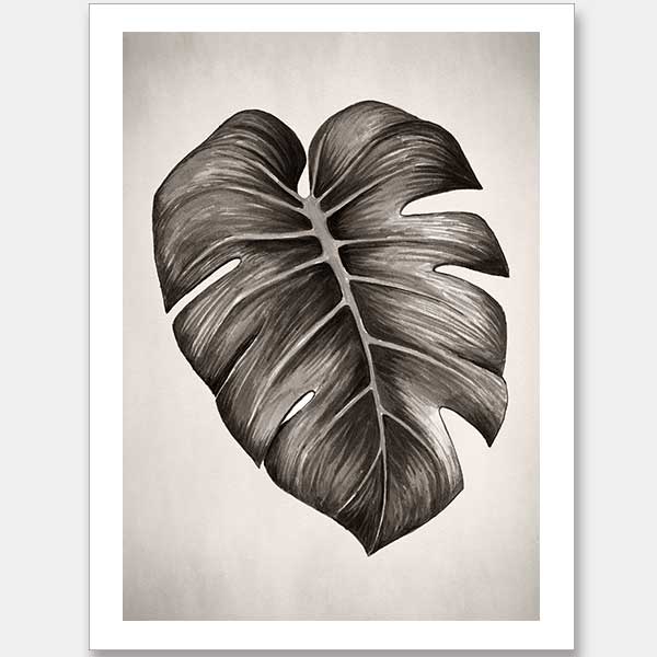Verdure I Sepia Unframed Art Print