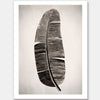 Verdure II Sepia Unframed Art Print