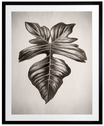 Verdure III Sepia Framed Art Print