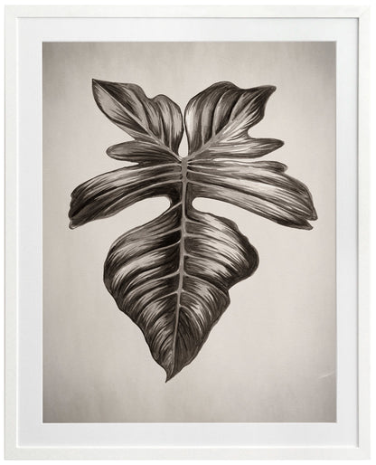 Verdure III Sepia Framed Art Print