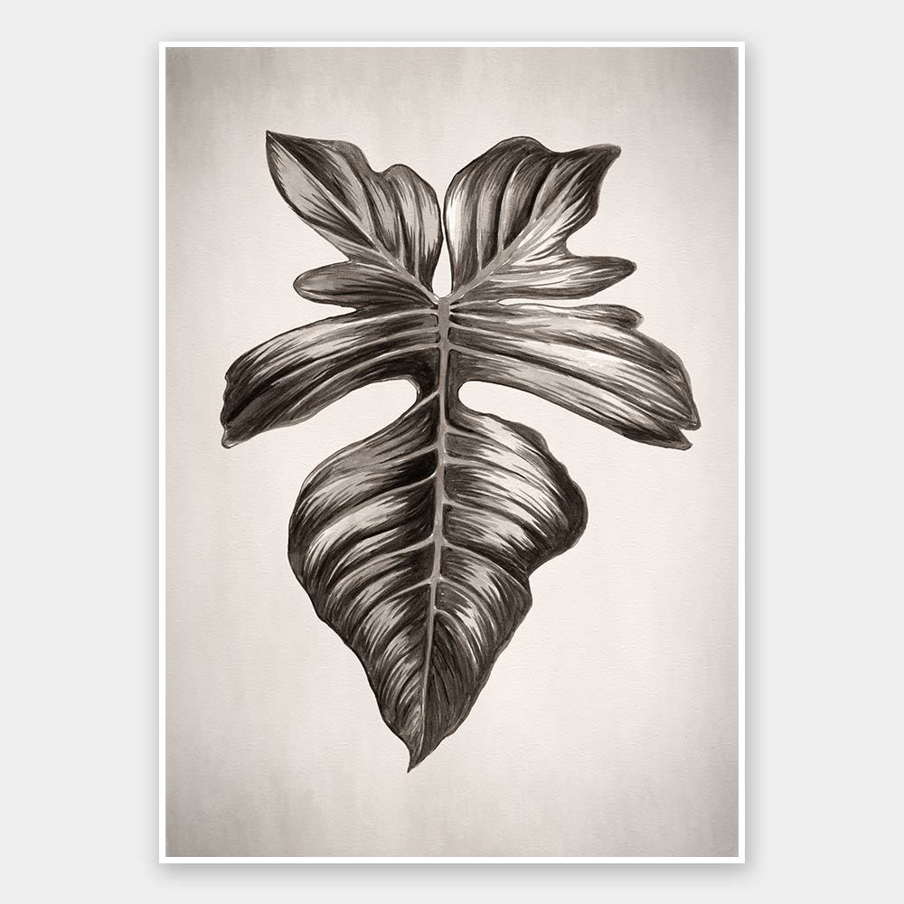 Verdure III Sepia Unframed Art Print