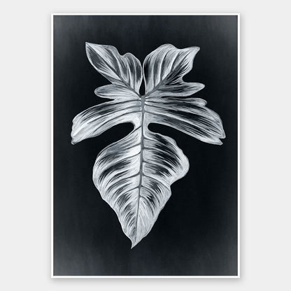 Verdure III Midnight Unframed Art Print