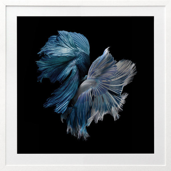 Alpha Framed Art Print