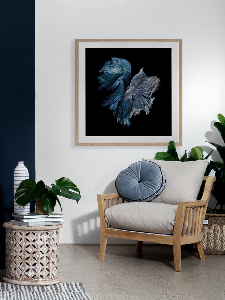 Alpha Framed Art Print | Lifestyle