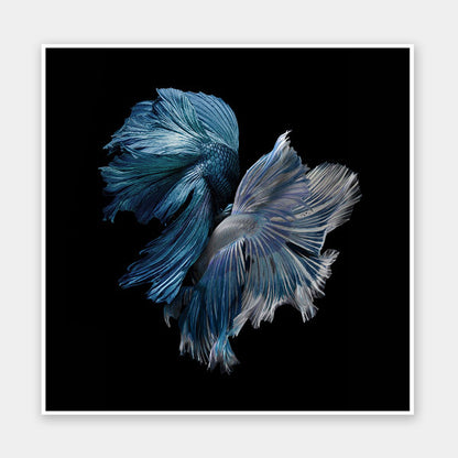 Alpha Unframed Art Print