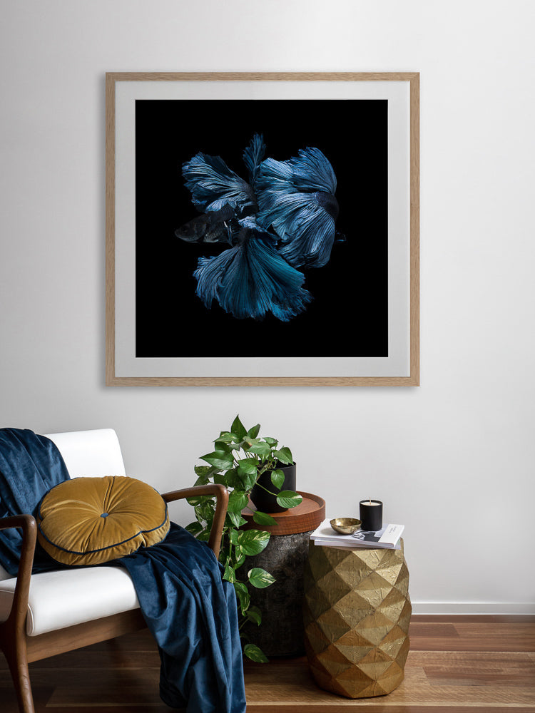 Betta Framed Art Print | Lifestyle