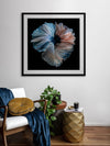 Omega Framed Art Print | Lifestyle