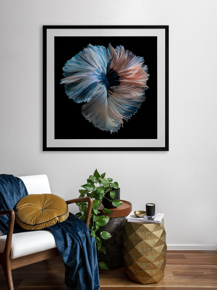 Omega Framed Art Print | Lifestyle