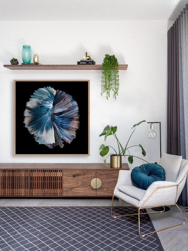 Zeta Framed Art Print | Lifestyle