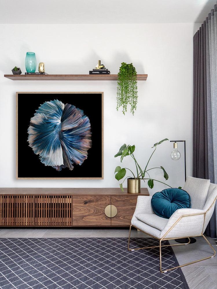 Zeta Framed Art Print | Lifestyle