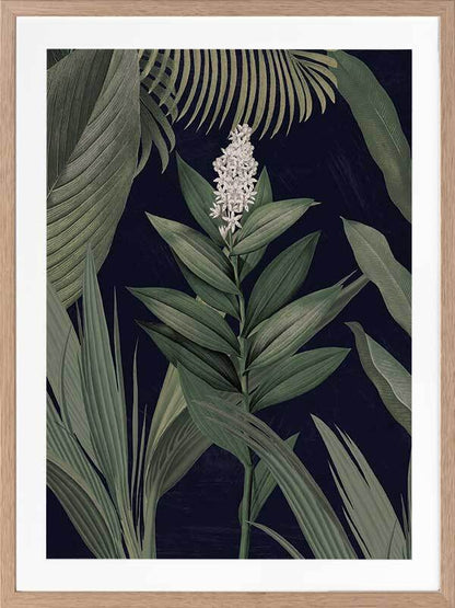 Dark Flora I Framed Art Print