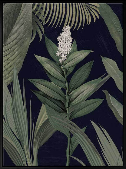 Dark Flora I Canvas Art Print