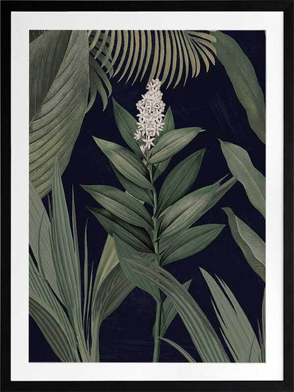 Dark Flora I Framed Art Print