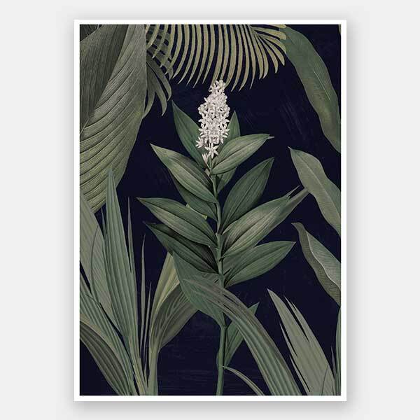 Dark Flora I Unframed Art Print