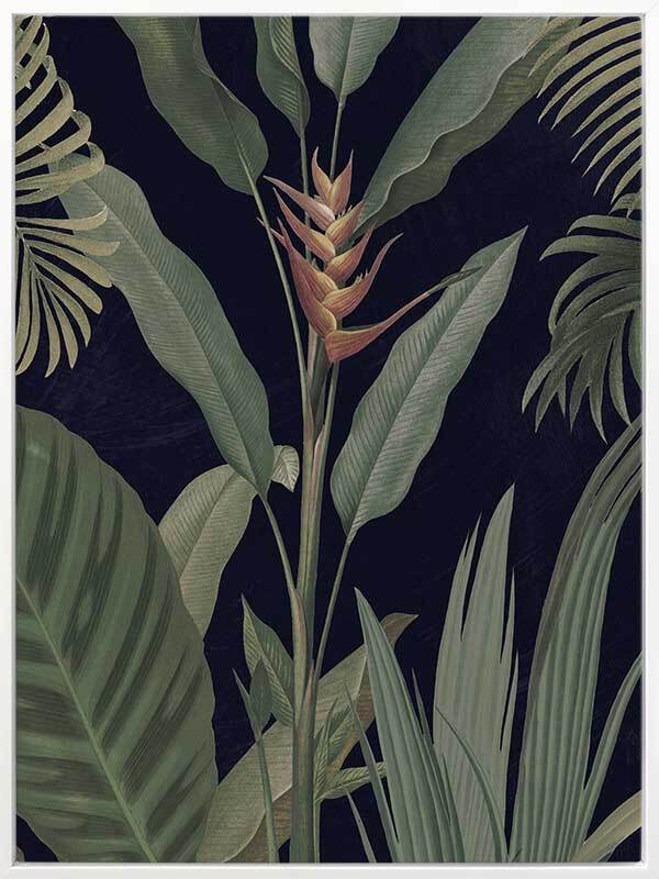 Dark Flora II Canvas Art Print