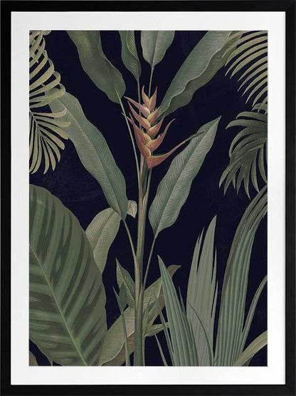 Dark Flora II Framed Art Print