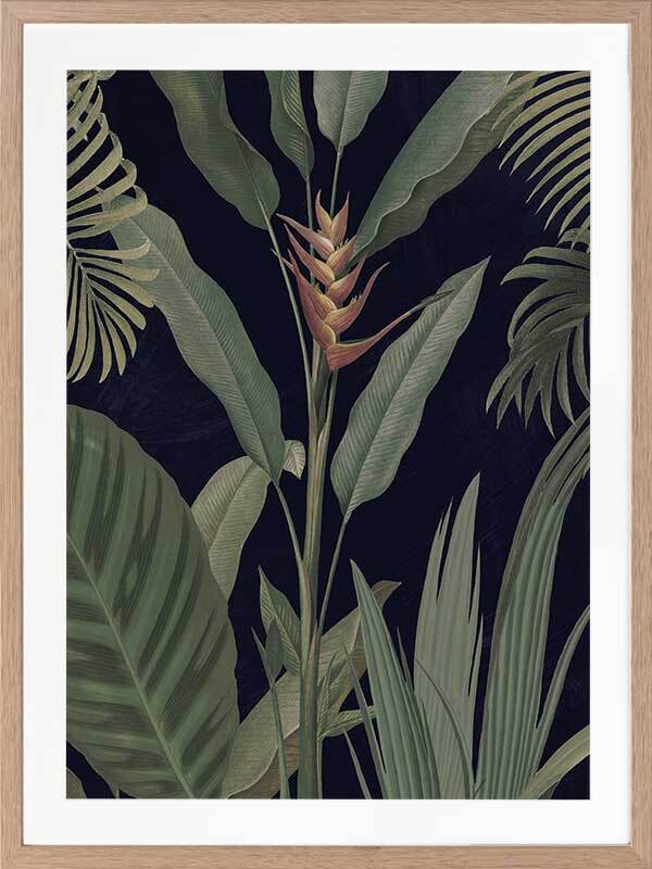 Dark Flora II Framed Art Print