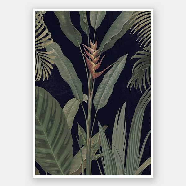 Dark Flora II Unframed Art Print