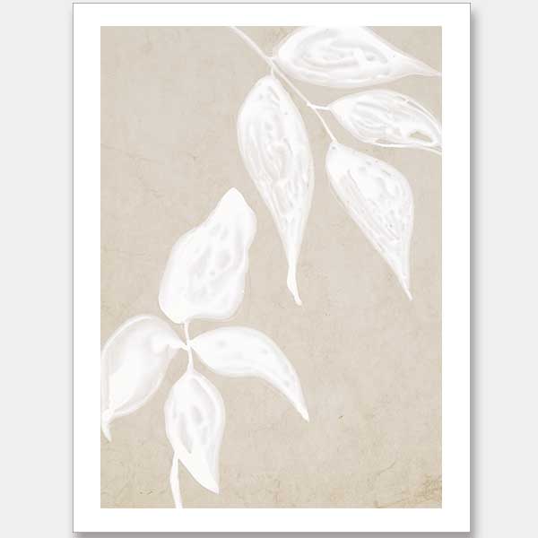 Paper Bark I Unframed Art Print