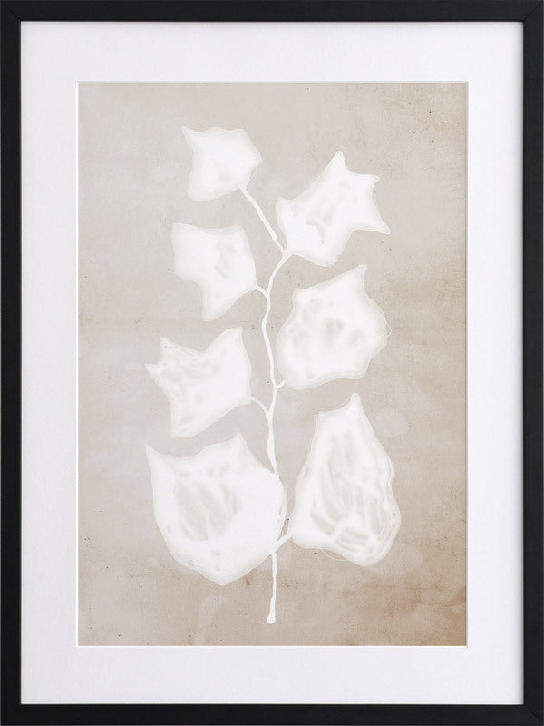 Paper Bark II Framed Art Print