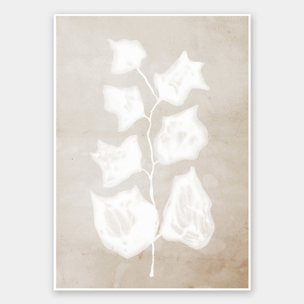 Paper Bark II Unframed Art Print