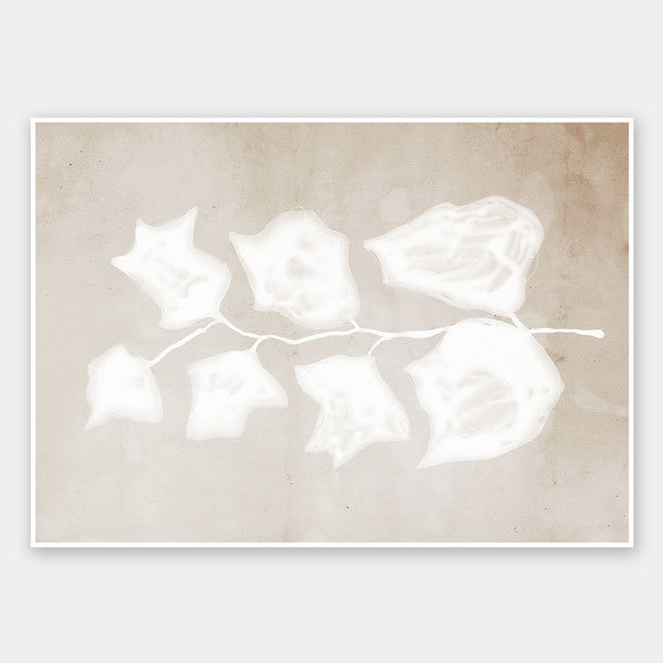 Paper Bark II Unframed Art Print