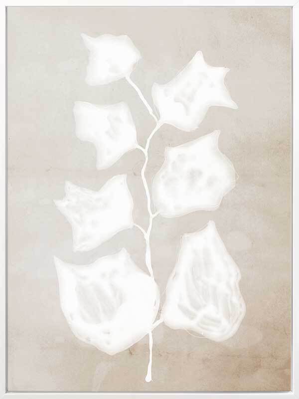 Paper Bark II Canvas Art Print