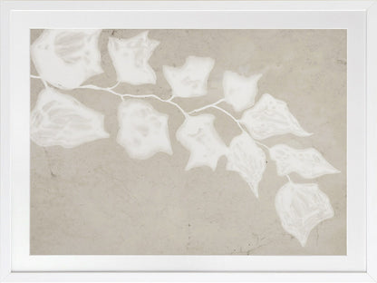 Paper Bark III Framed Art Print